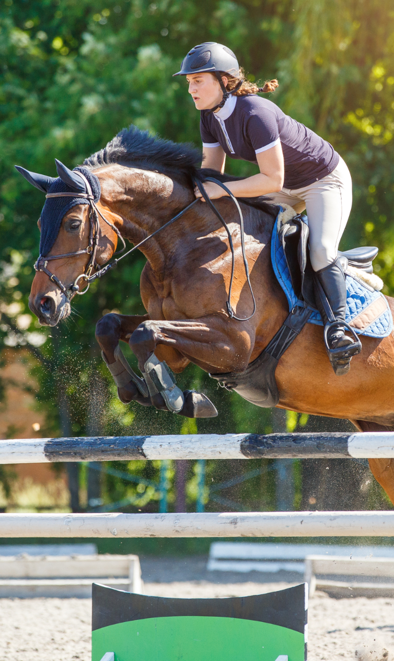 LegUp Equestrian