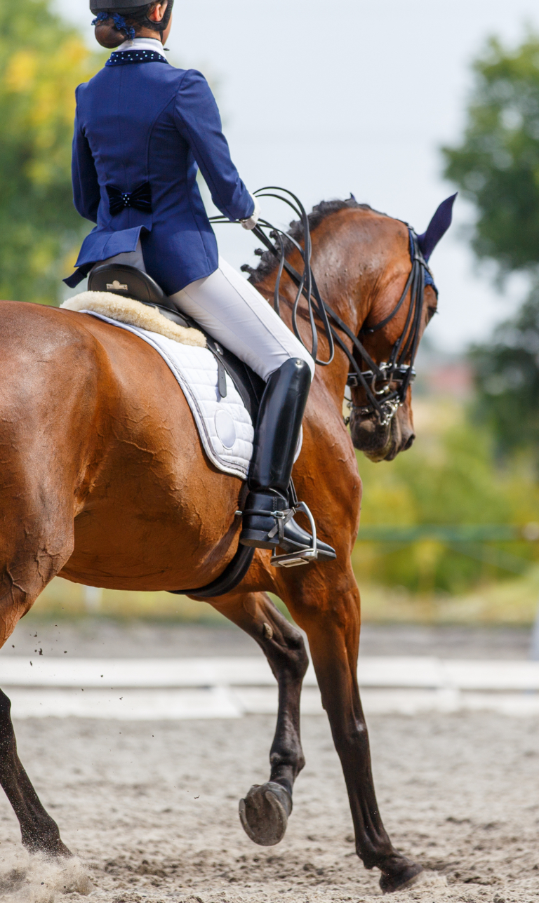 LegUp Equestrian