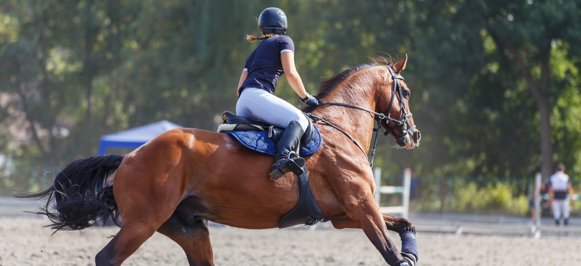 LegUp Equestrian